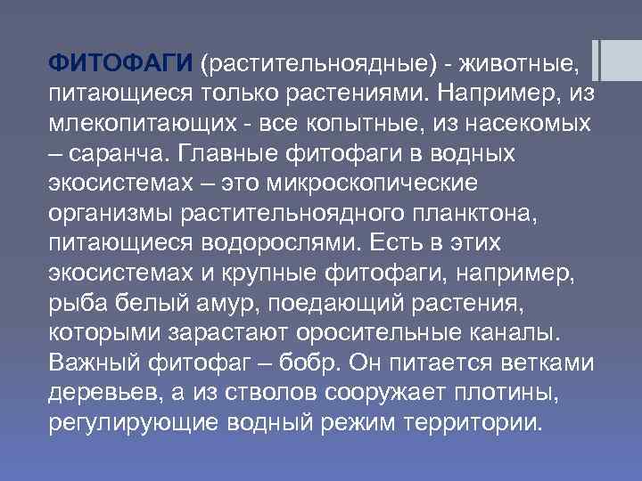 Что такое фитофаги простыми словами | экология