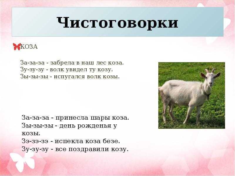 Загадка про козу для ребенка 5 лет