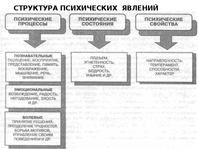 Залесская с.н.  введение в психологию: психология и психика
