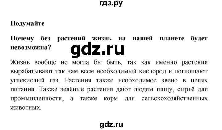 Что такое растения? общие признаки, группы, структура и факты — природа мира