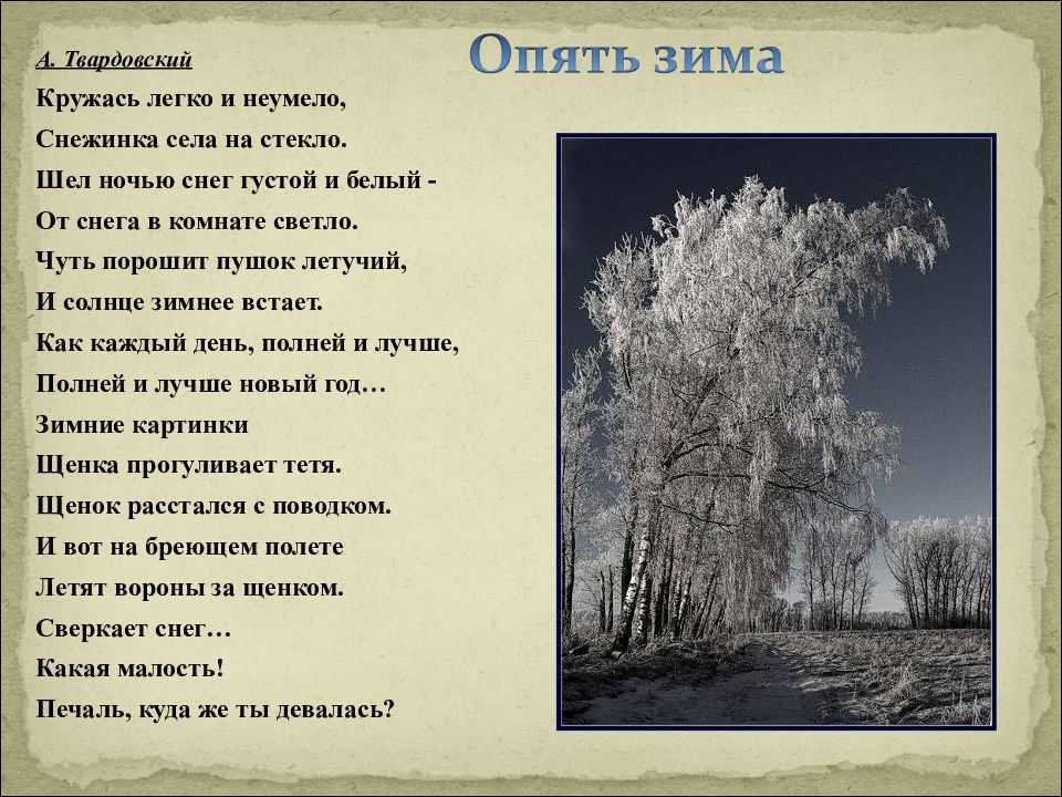 Стихи о природе: красивые стихотворения о родной природе