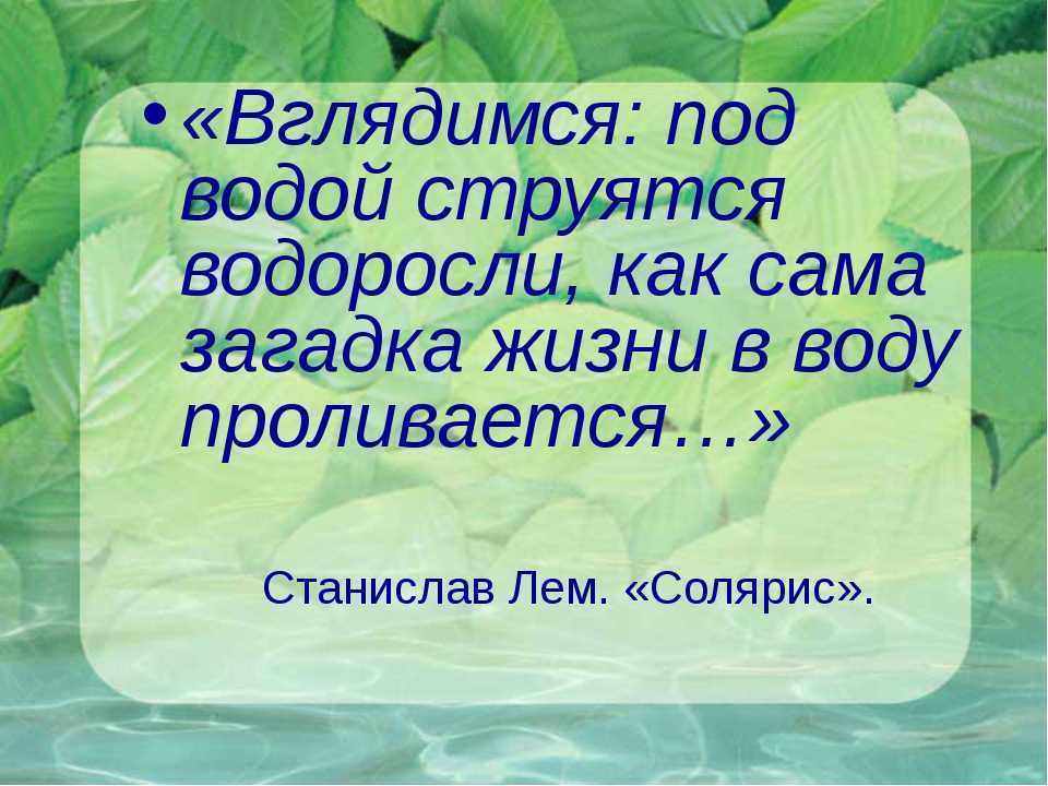 Загадки про растения с ответами для 1-2-3 класса