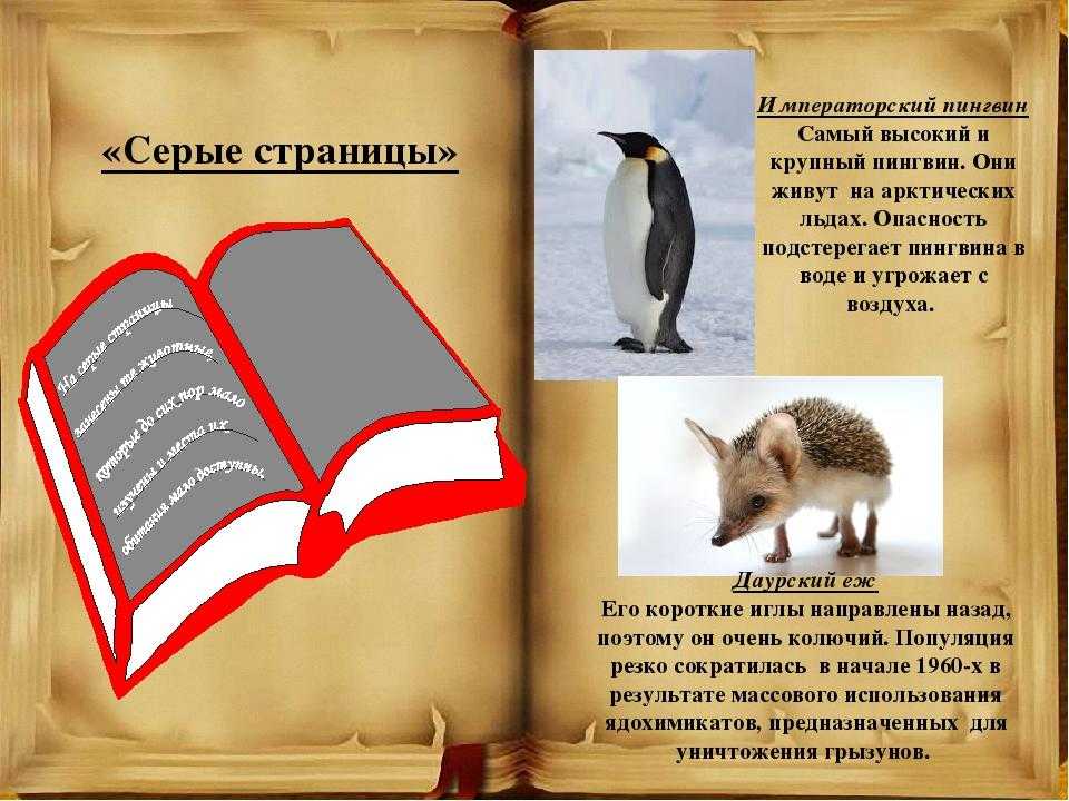 Красная книга стр. 88 - 91 окружающий мир 2 класс 1 часть