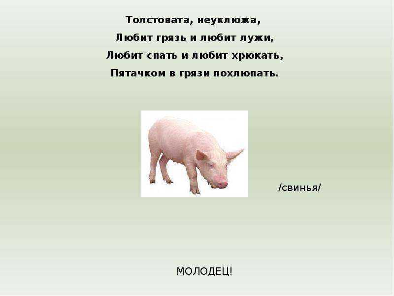 Загадки для дошкольников с ответами - загадки  - преподавание - образование, воспитание и обучение - сообщество взаимопомощи учителей педсовет.su
