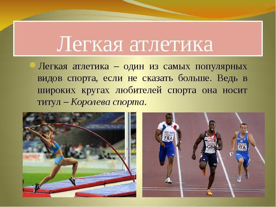 Виды спорта и их краткая характеристика