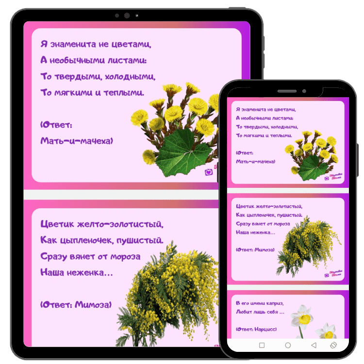 🌼 загадки про цветы