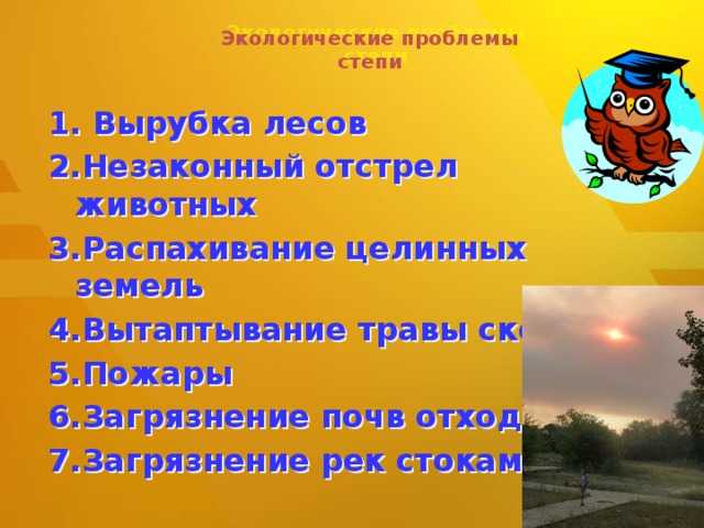 Экологические проблемы степей