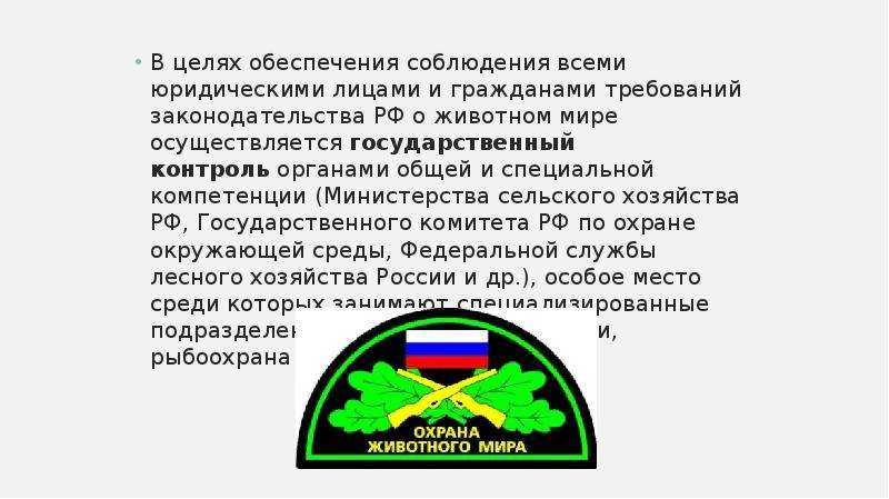 Охрана животных и её актуальные проблемы