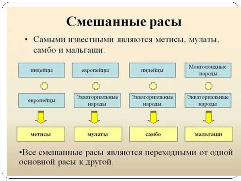Что доказывает равноценность рас и принадлежность их к одному виду кратко