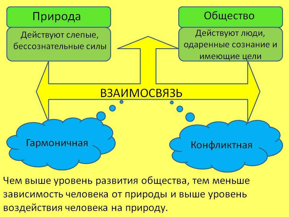 Почему нам нужны законы в обществе: проблемы и существование
