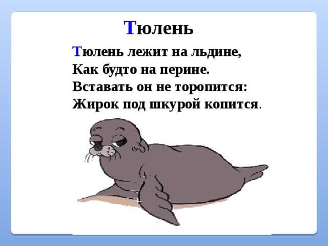 Загадки для детей 3 - 4 лет: короткие задания с ответами