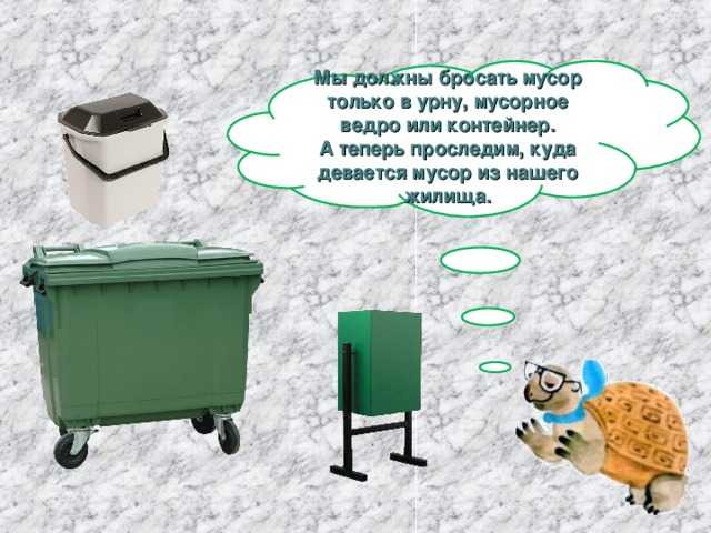 Загадки про экологию и мусор с ответами для детей дошкольного возраста: тема для ребусов