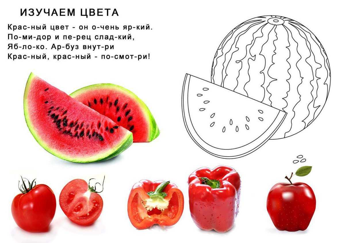 Лучшие загадки для детей 7-8 лет с ответами