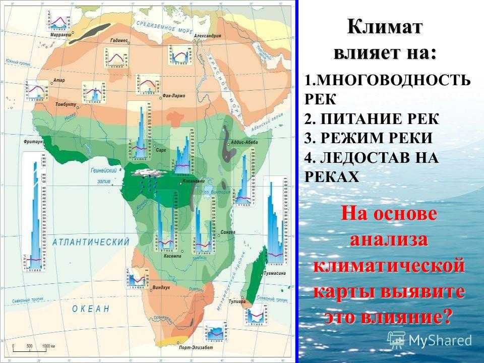 Где находится река конго. где находится река конго? | дорога знаний