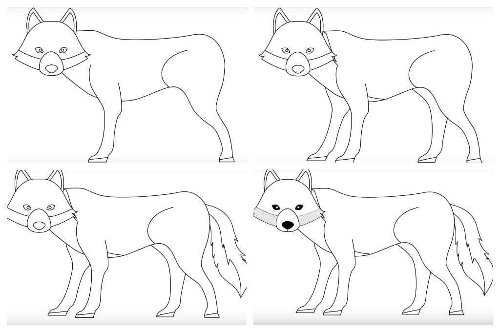 Как нарисовать волка поэтапно карандашом (52 фото) - легкие мастер-классы по рисованию волка