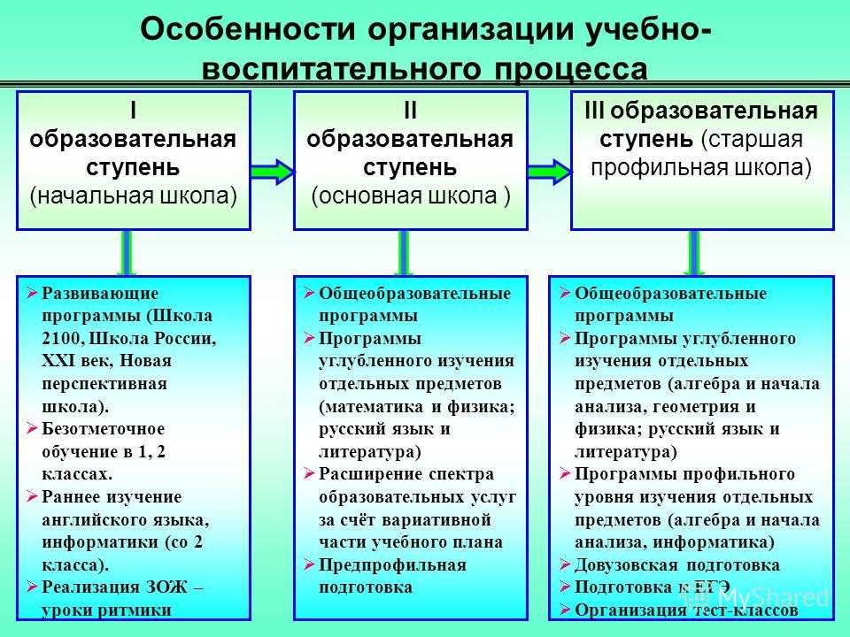 Особенности организации образовательного процесса в системе дополнительного образования