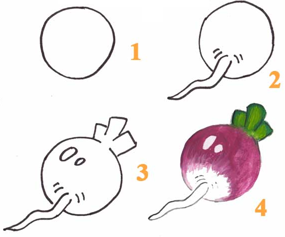 Как нарисовать овощи ребенку в 4 года
