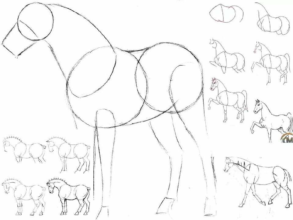 Как нарисовать лошадь поэтапно карандашом легко для детей