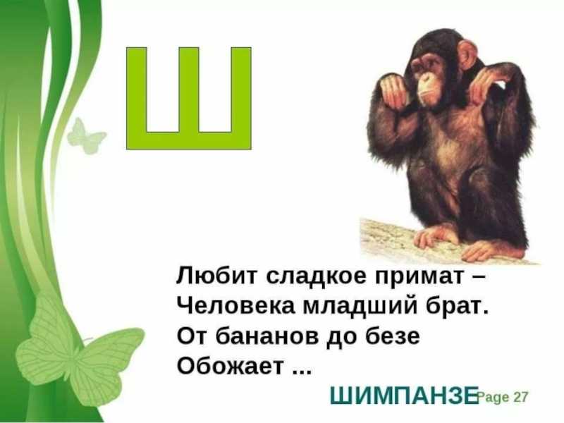 Загадки с отгадкой на букву ш. задание: печатная буква ш для дошкольников