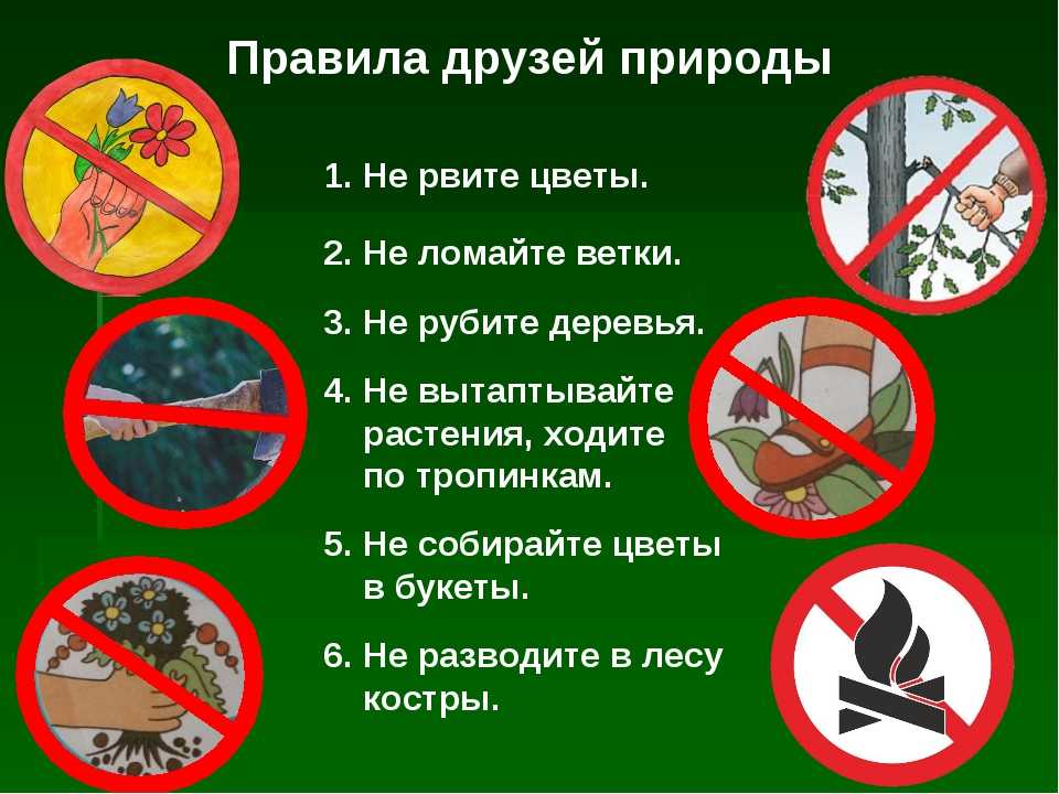 Охрана природы
