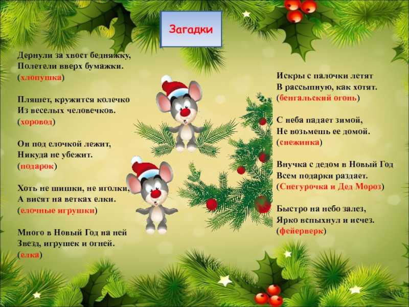 Загадки про новогоднюю елку: лучшие 45 загадок для детей и взрослых, простые и сложные / mama66.ru