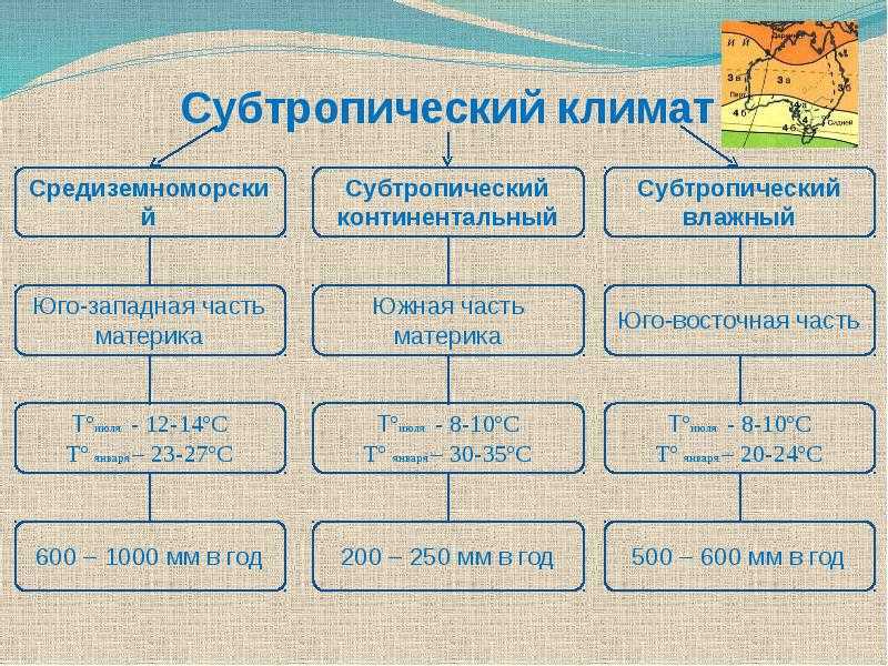 Субтропические леса
