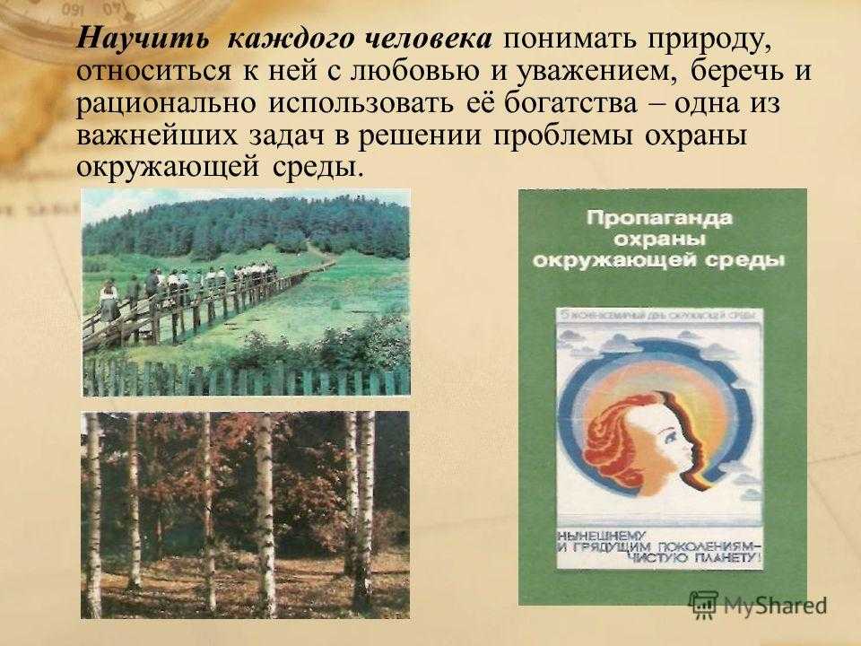 Впр окружающий мир. 4 класс. волкова. ответы