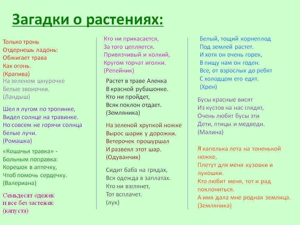 Загадки для младших классов с ответами