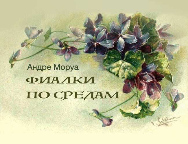 Андре моруа: фиалки по средам - о чем вы должны знать