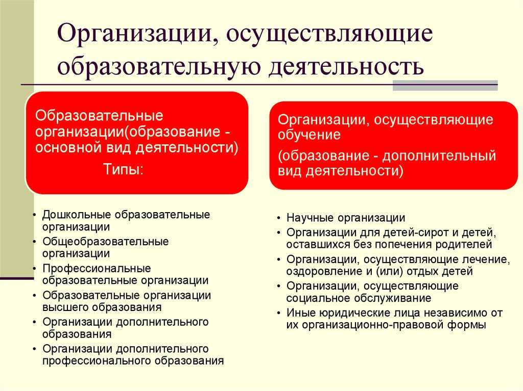 Организационно правовая форма школы