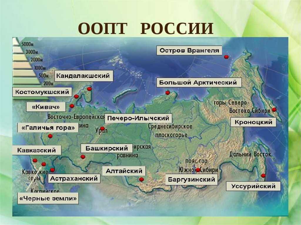 Сочинение на тему: берегите природу (3 варианта и 9 похожих топиков)