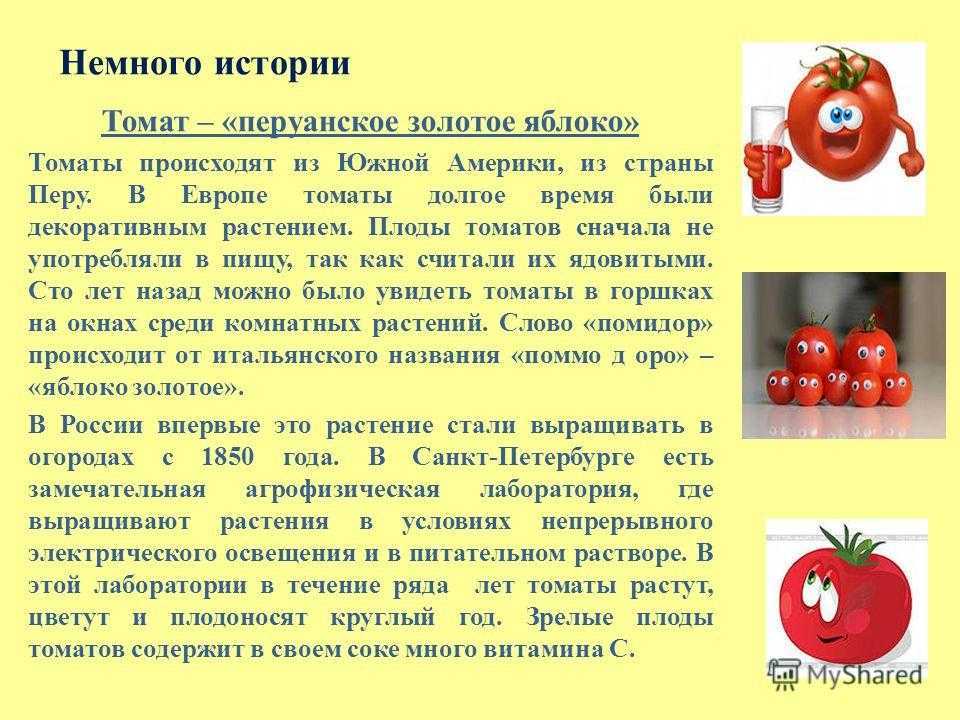 Плод томата рассказ для 3 класса окружающий мир