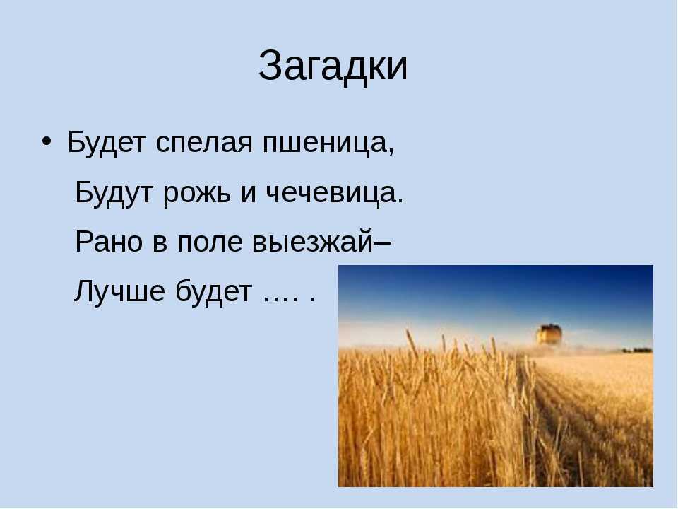 Загадки на логику с подвохом! ? выпуск №1