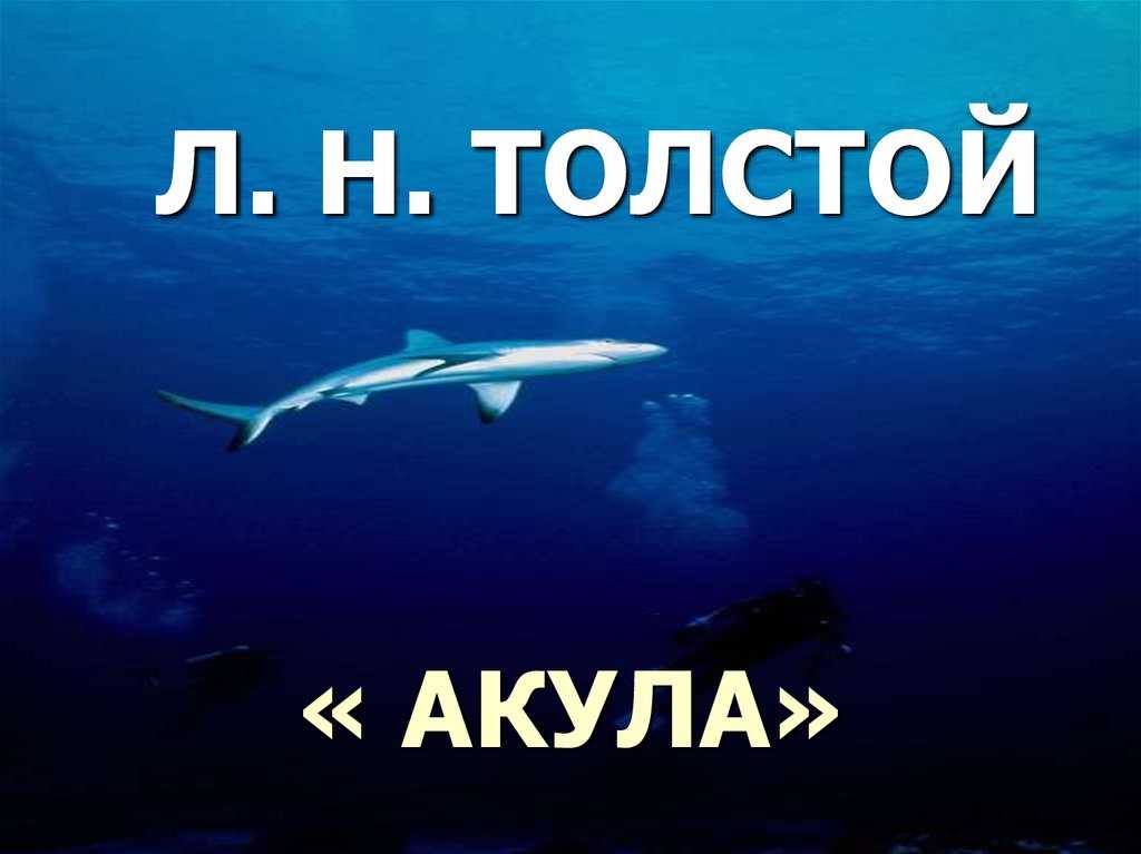 Художественный анализ рассказа «акула» л.н. толстого | литерагуру