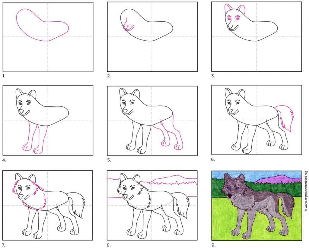 Как нарисовать волка карандашом поэтапно легко. как нарисовать карандашом волка