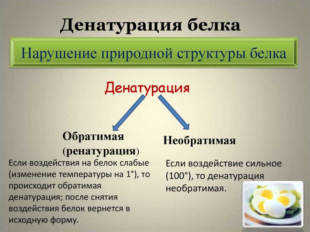 Химические свойства белков | химия онлайн