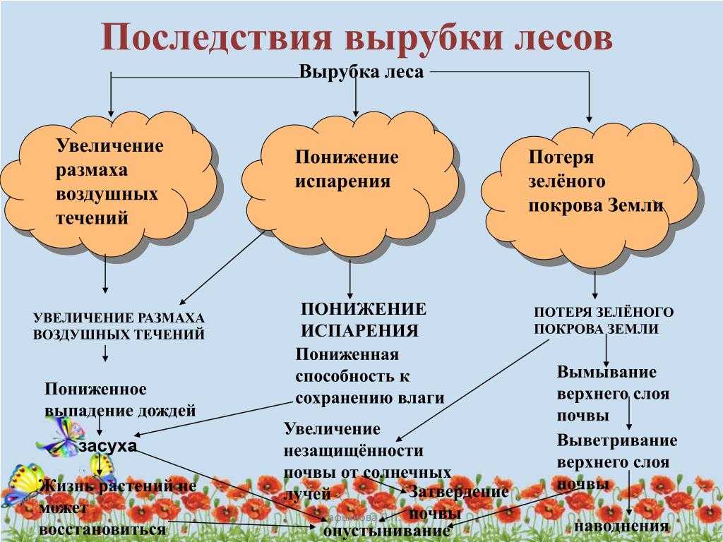 Рассказ на тему «берегите природу (про леса)»