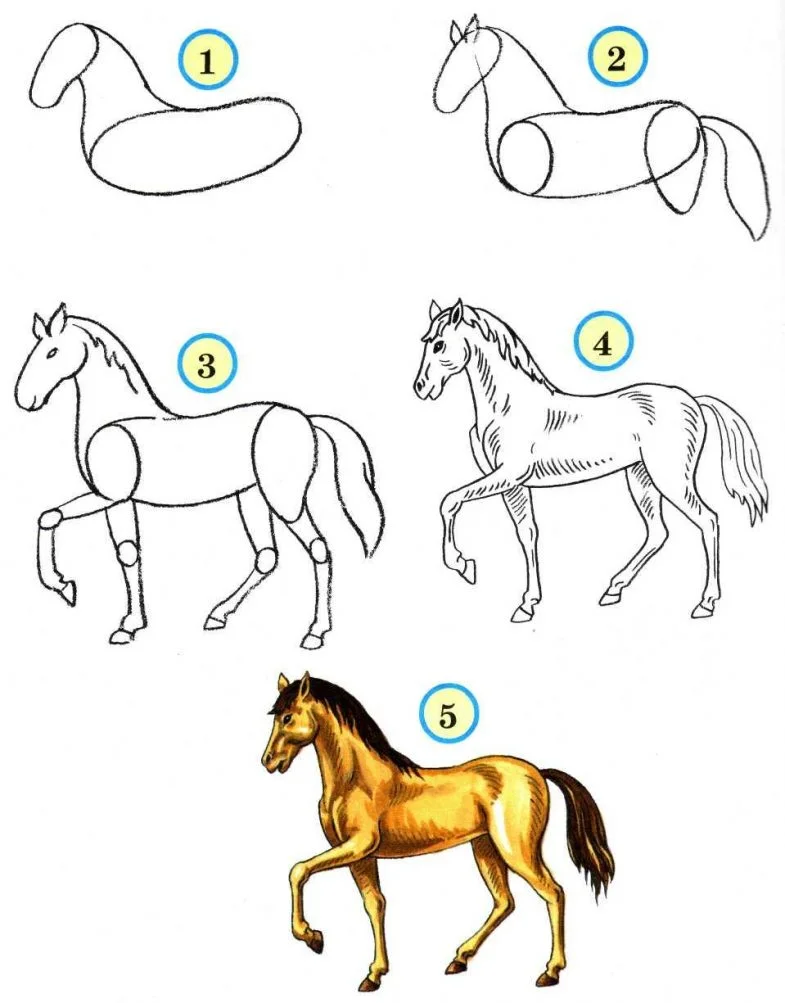 Как нарисовать лошадь карандашом поэтапно для начинающих. как нарисовать лошадь: простой способ для начинающих