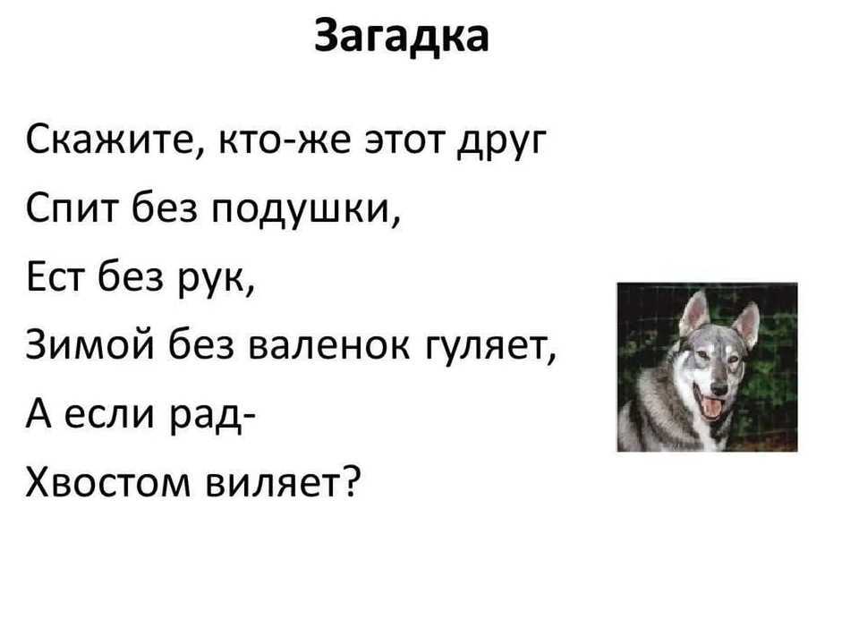 Загадки для детей 3-4 лет с ответами ✅ блог iqsha.ru
