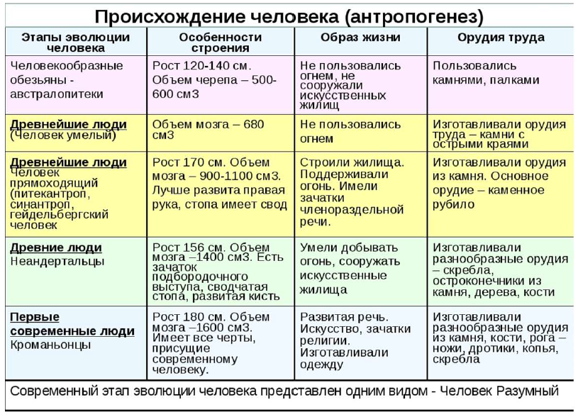 Развитие человека