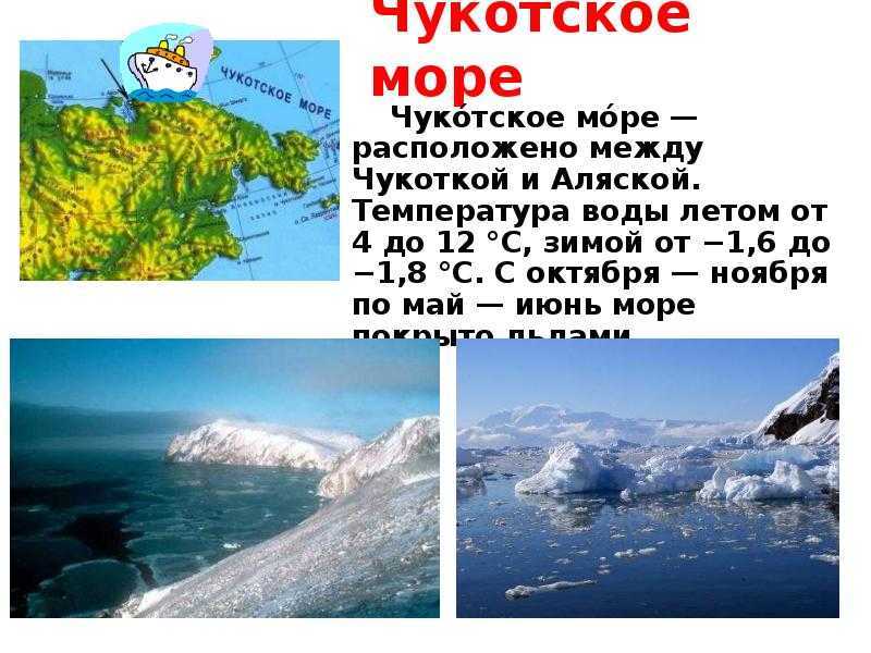 Особенности распределения представителей органического мира ледовитого океана. карское море