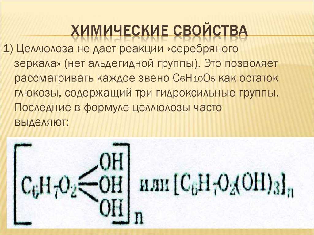Химический состав клетки • образавр