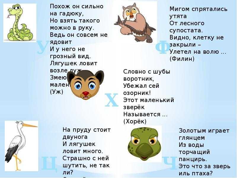 Загадки про животных для детей 6-7 лет с ответами