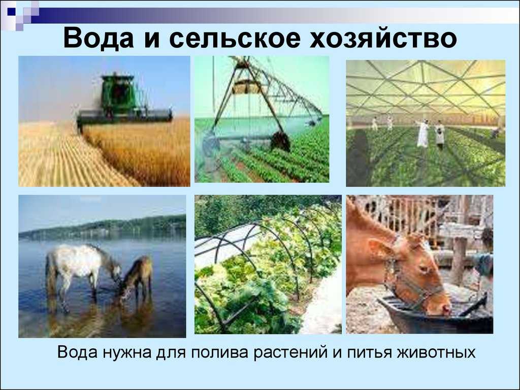 Вода в химической промышленности презентация, доклад, проект