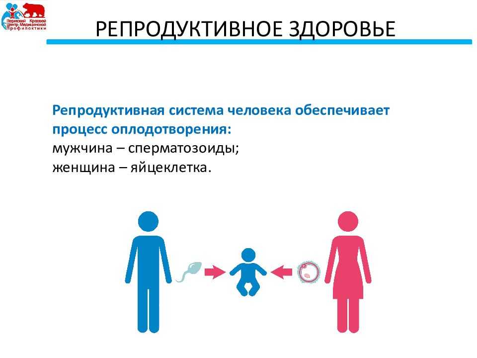 Репродукция - это в биологии что такое? определение и примеры репродукции в природе. половое размножение организмов что такое размножение краткое определение