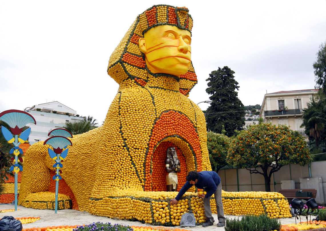Lemon art french style: описание и особенности