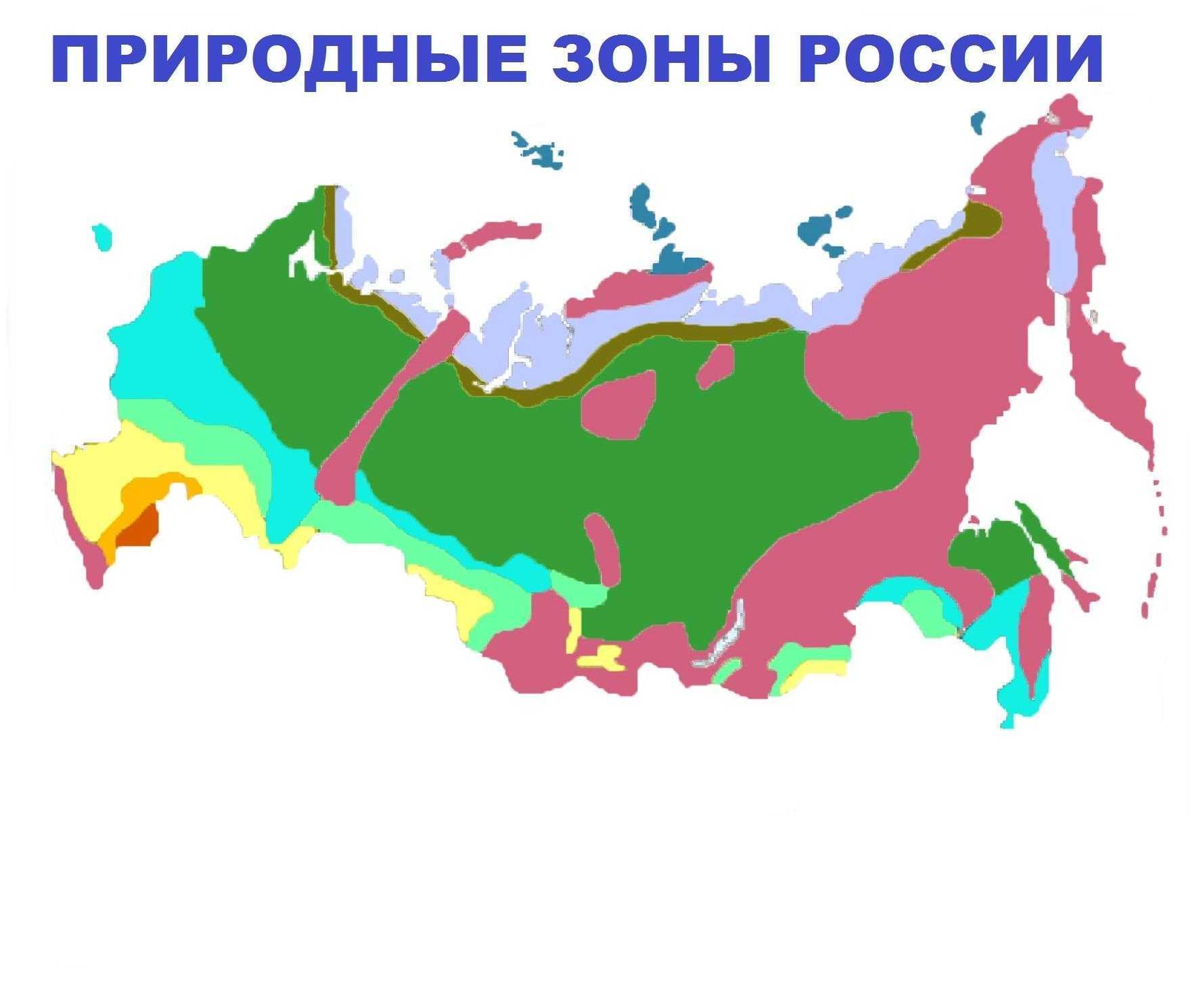 Особенности географических районов россии: краткий обзор