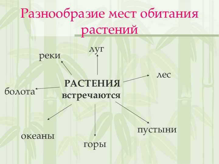Урок 7: царство растения - 100urokov.ru