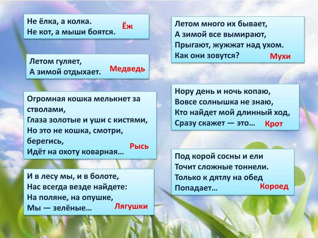 Что такое погода и почему она бывает хорошей и плохой – рассказ для дошкольников и школьников младших классов окружающему миру, 2 класс