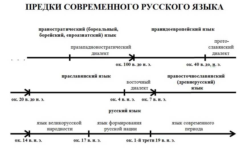 Праславянская фонетика в развитии